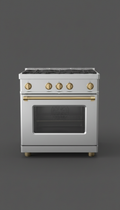 Professional series range oven with dual convection
